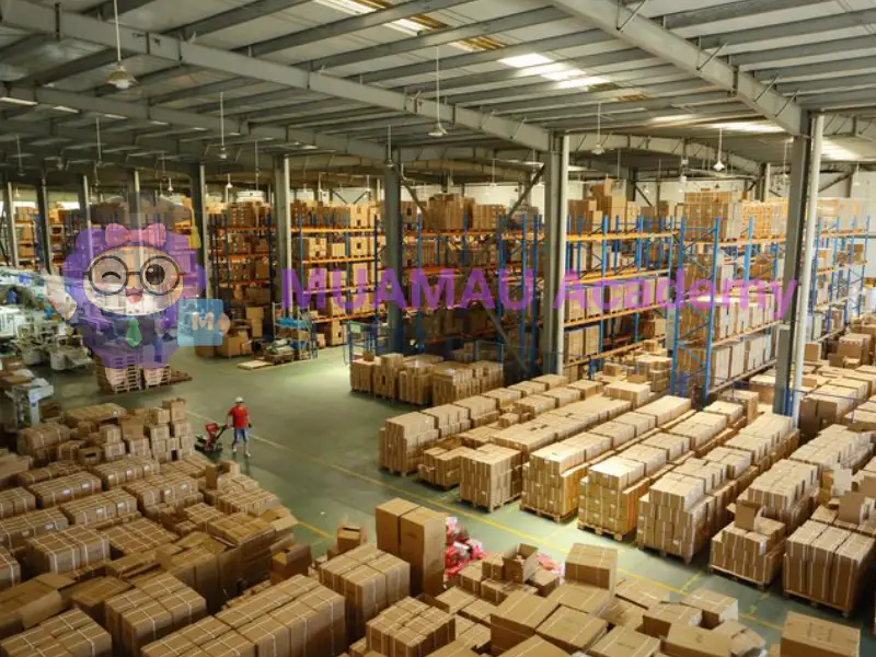 Nguồn hàng đa dạng và uy tín từ nhiều nhà cung cấp tại MUAMAU ACADEMY